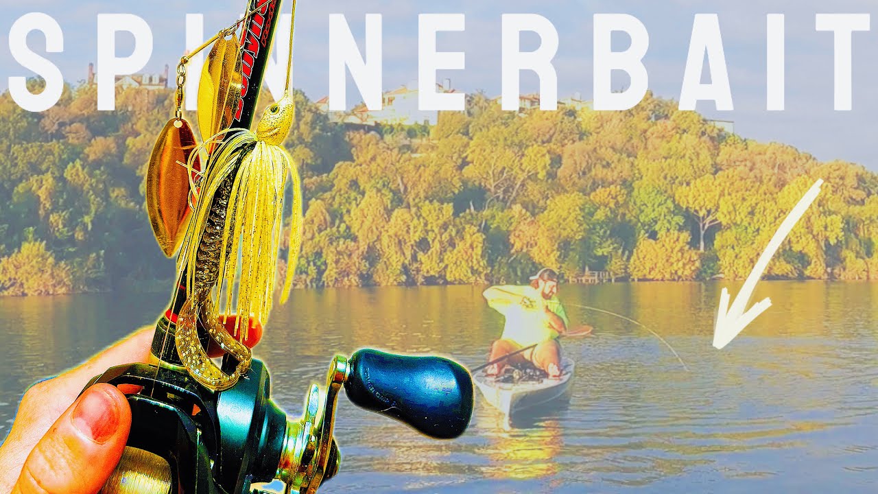 THIS LURE Catches GIANT Bass - - Fall Bass Fishing Lady Bird Lake