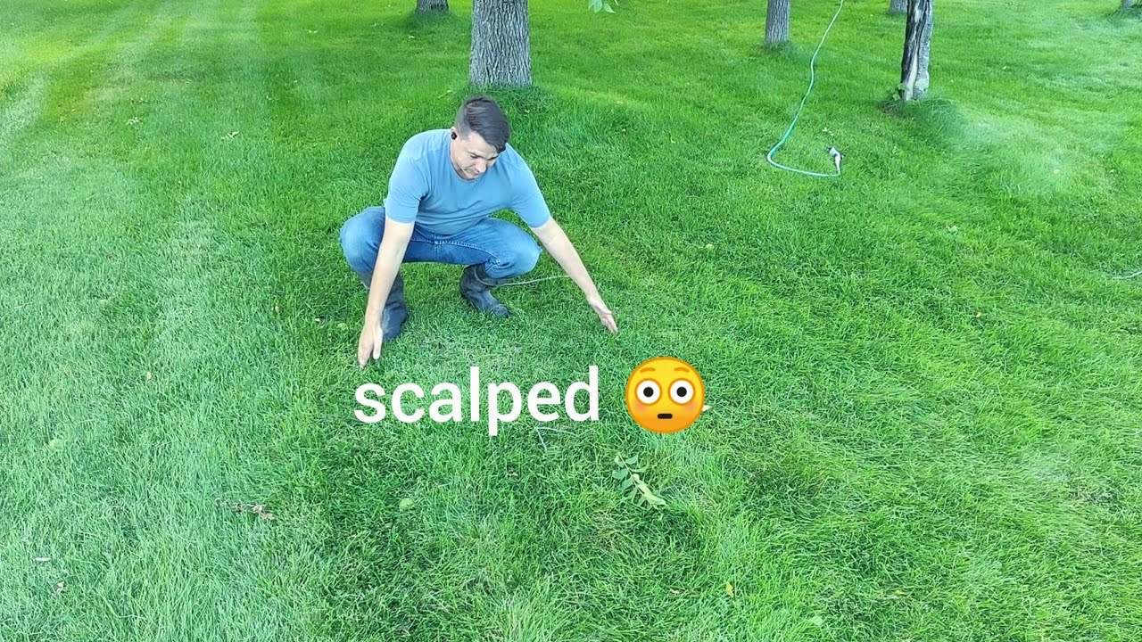 Fix high spot, level the lawn.