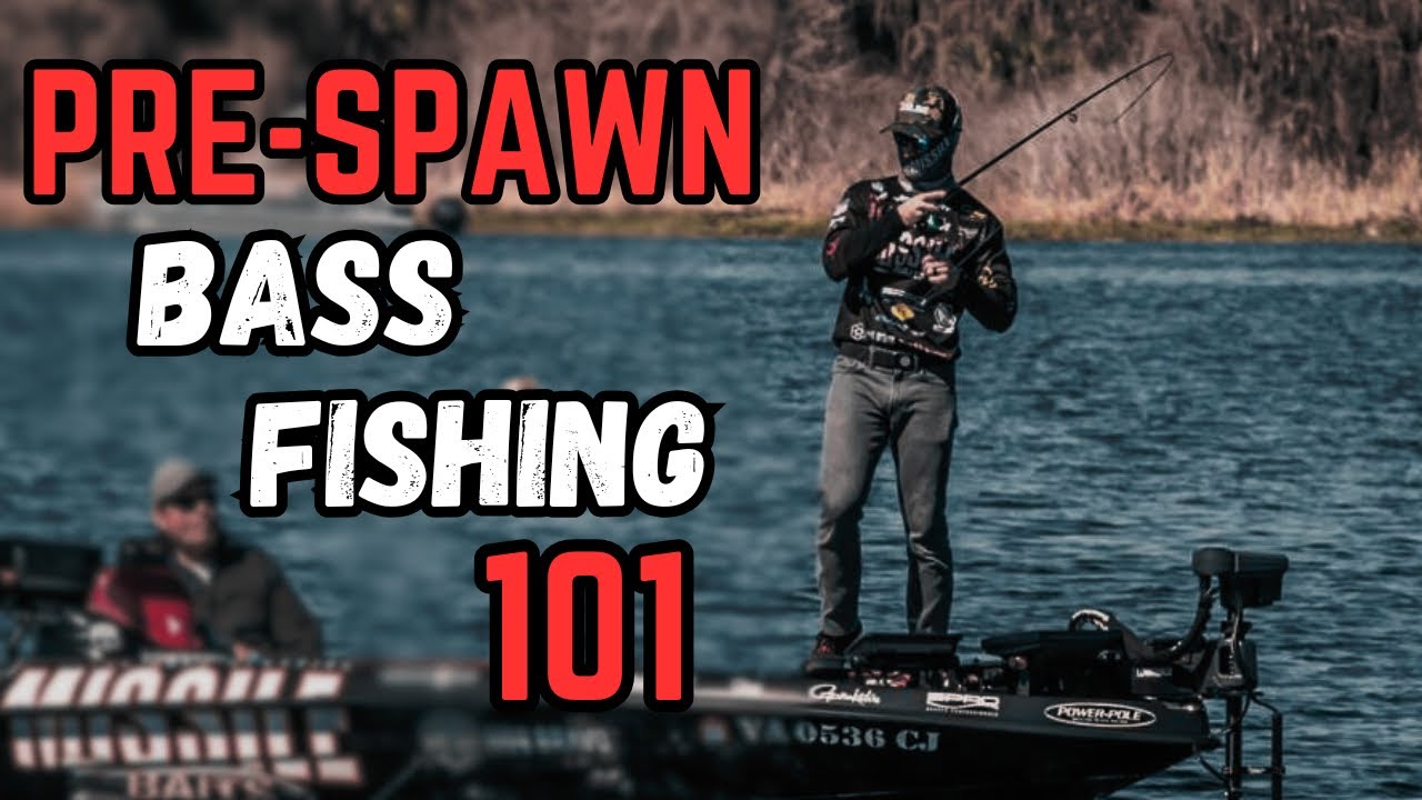 PRE-SPAWN Bass Fishing 101