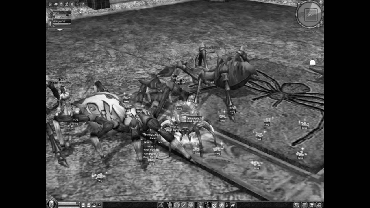 Metin2 Amkira Sonax (Lvl44) vs K&ouml;niginnenspinne