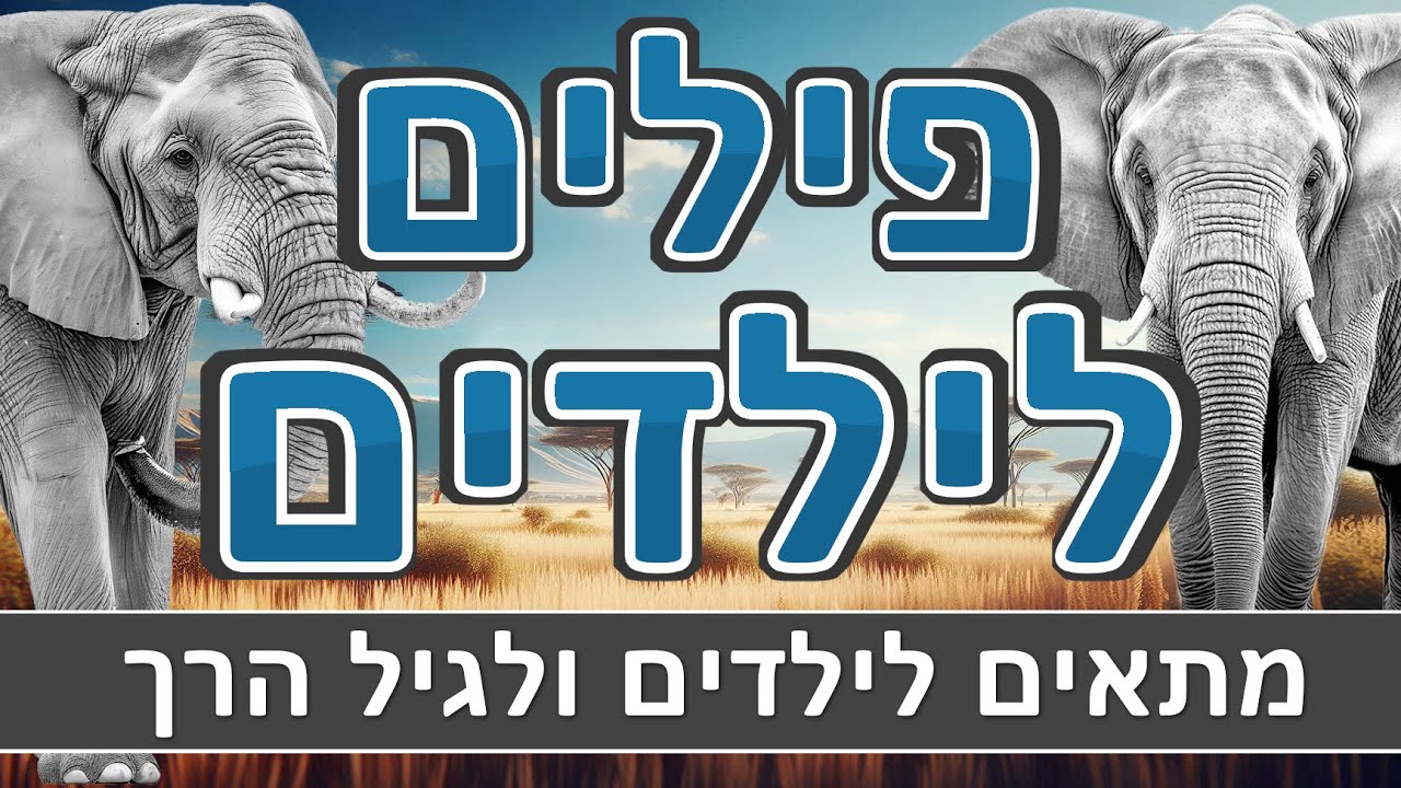 פילים לילדים