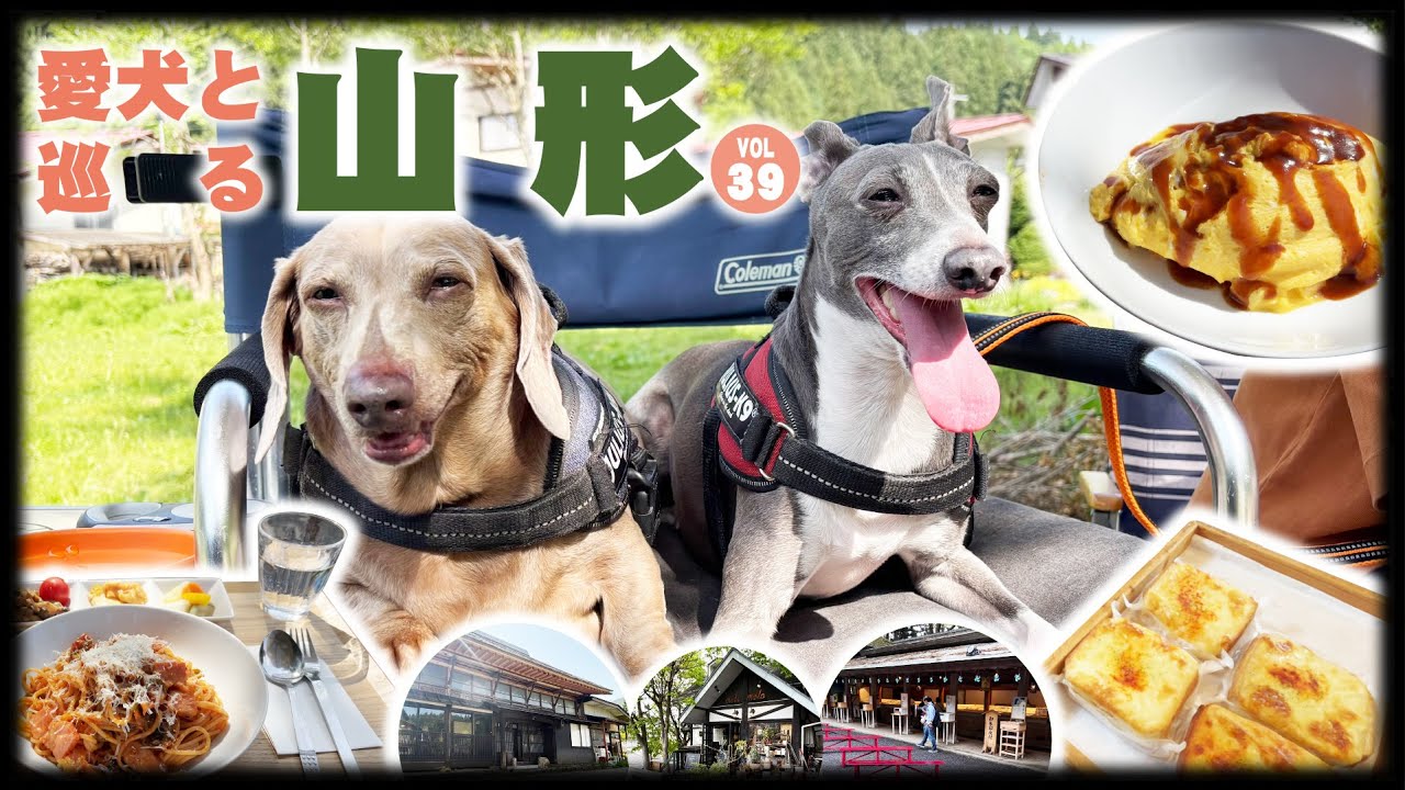 39話　愛犬と巡る山形　-近場を色々周ってきました-