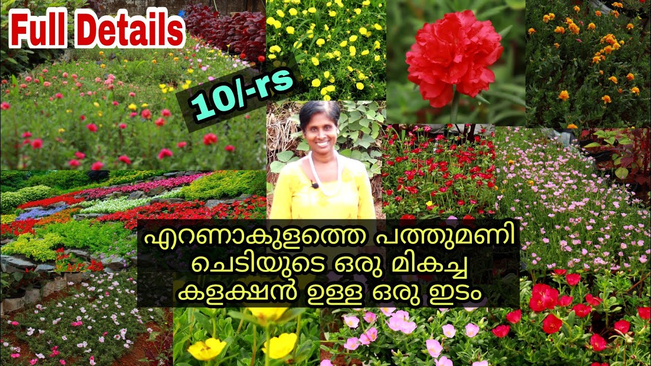 Flower Plant Nursery In Kerala With The Largest Collection Of 10 Mani Plants