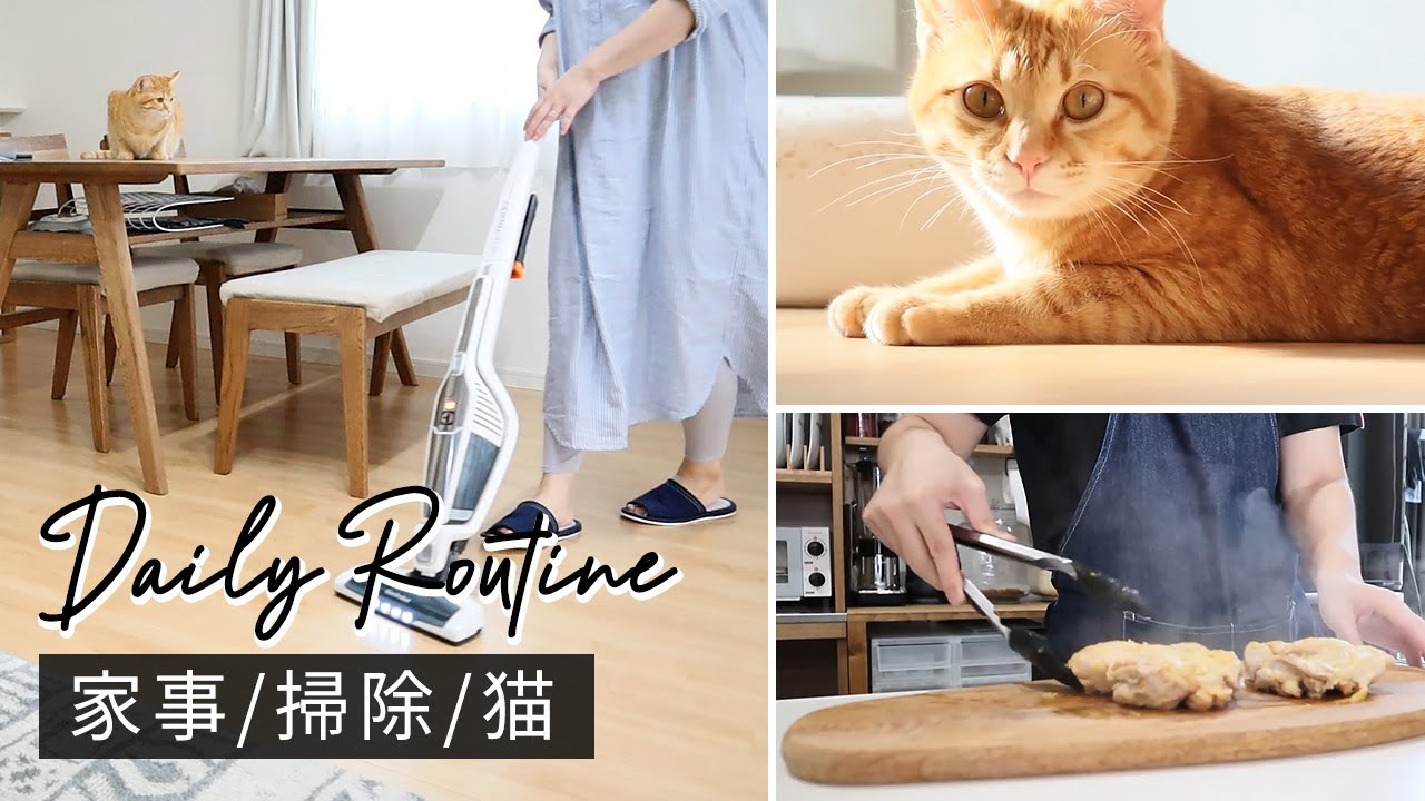 【主婦の1日/掃除・家事・猫】日々のルーティンと質問・リクエストへのお返事「年齢は？YouTubeはじめたきっかけは？部屋を綺麗に保つコツは？」