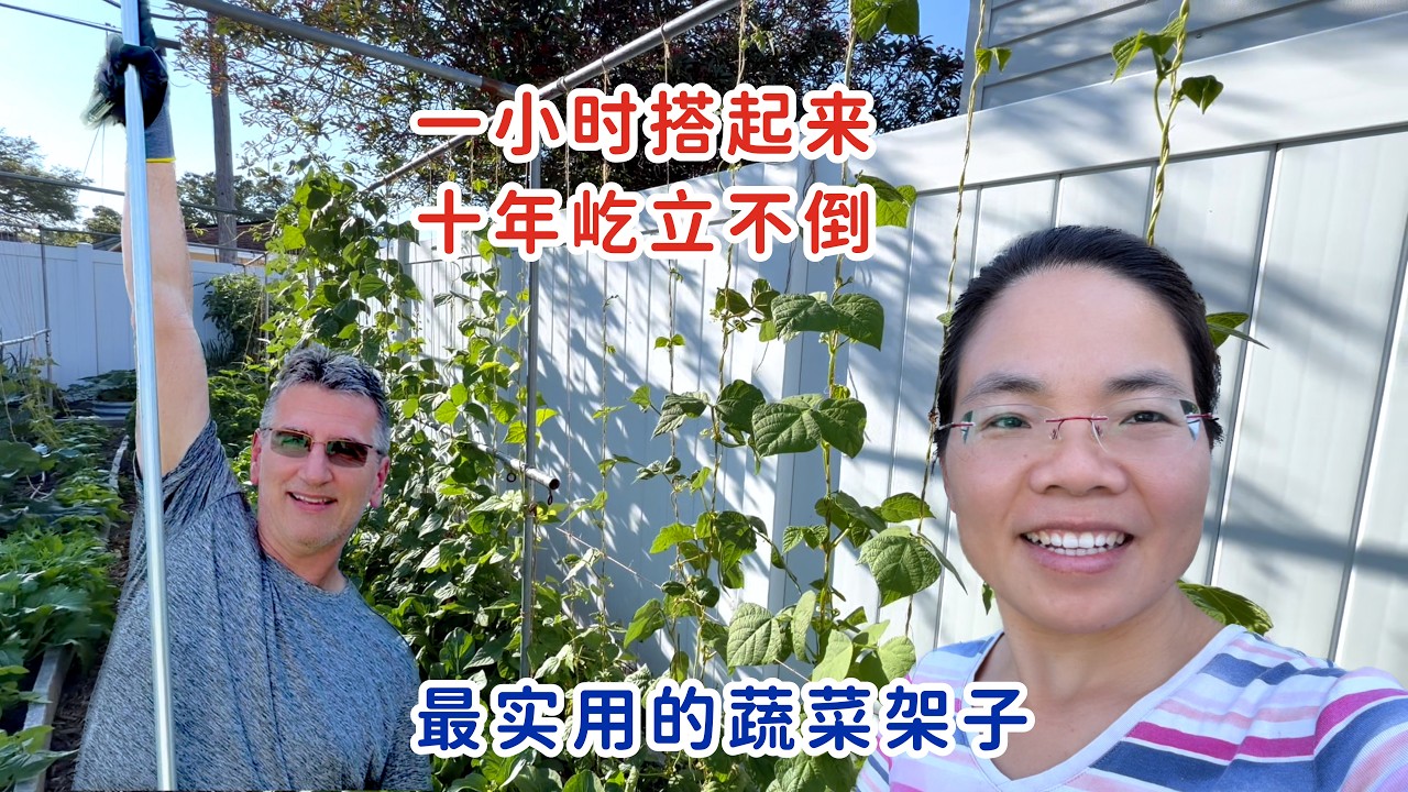 最实用的蔬菜架子，十年屹立不倒，万能兔爸爸一个小时搭起来