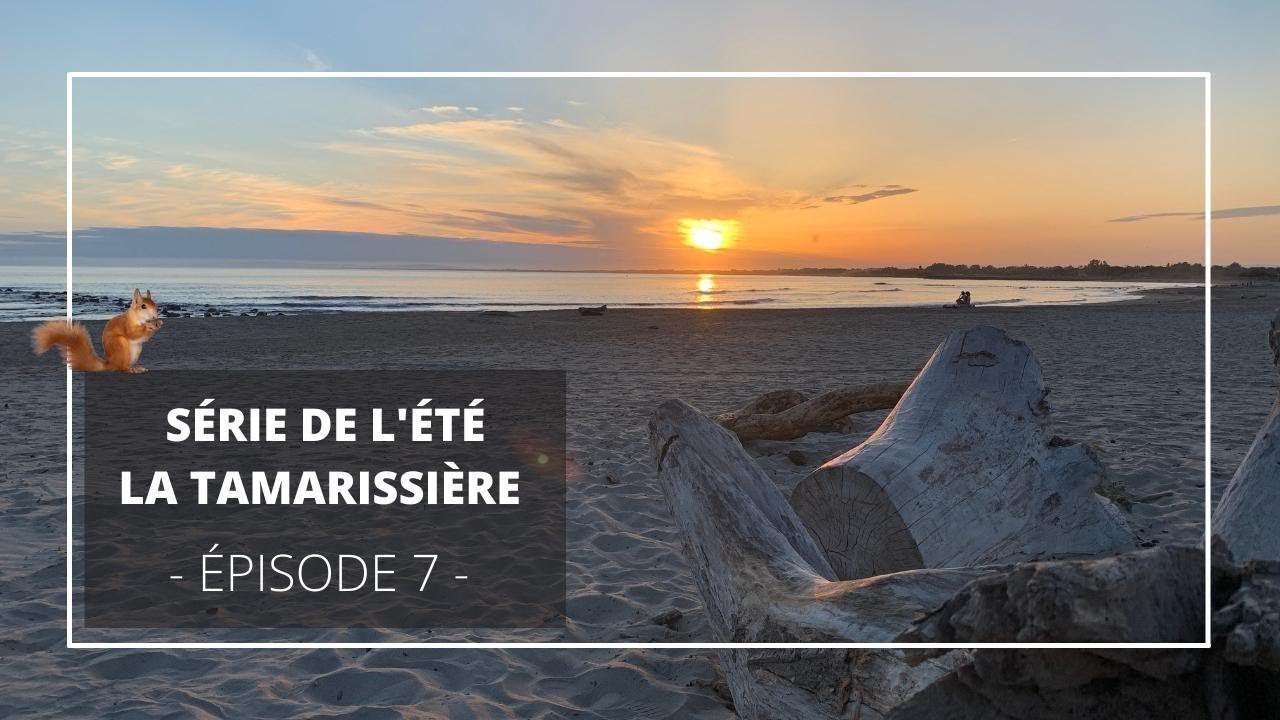La Tamarissière | Série de l'été - Épisode 7