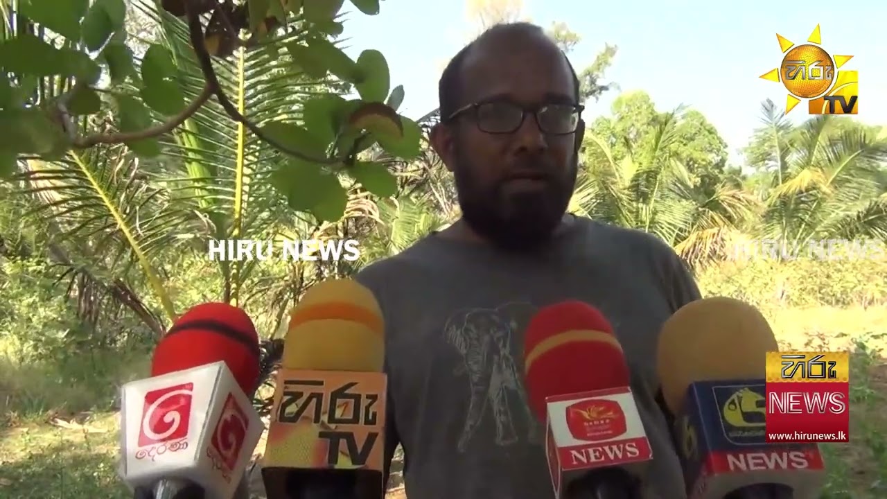 අවුරුදු ගාණක මහන්සිය එක රැයෙන් විනාශ කර දමන වන අලි උවදුර - Hiru News
