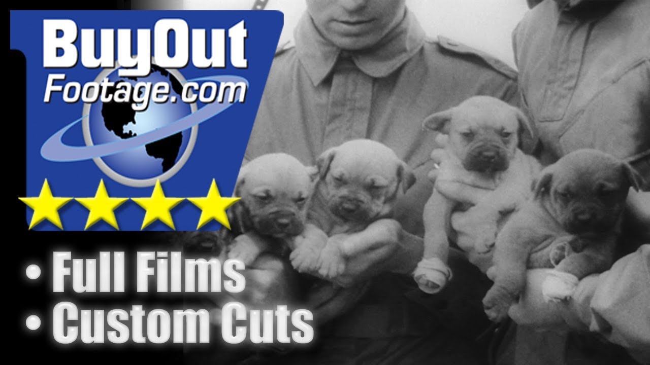 WW2 Paratroop Puppy Mascots Make First Jumps 1943
