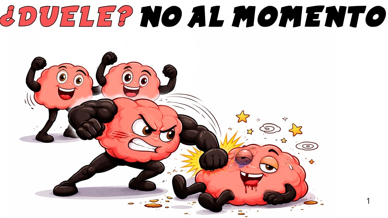 Esto hace tu CEREBRO cuando te peleas para tu supervivencia