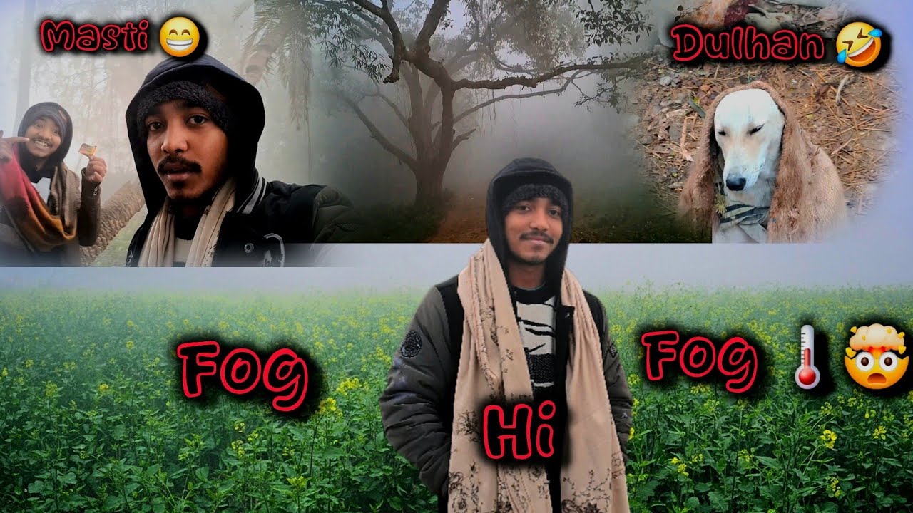 Subh Subh Bhaut Jada FOG 🌁 Ho Gya 🤯 || Temperature 🌡 7 °C || Injury 🤕 