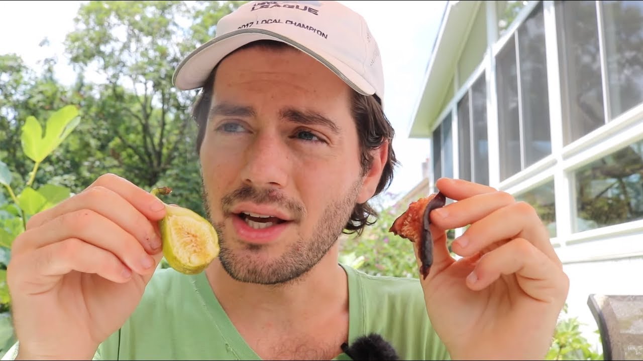 Light vs Dark Figs: Which do you Prefer?