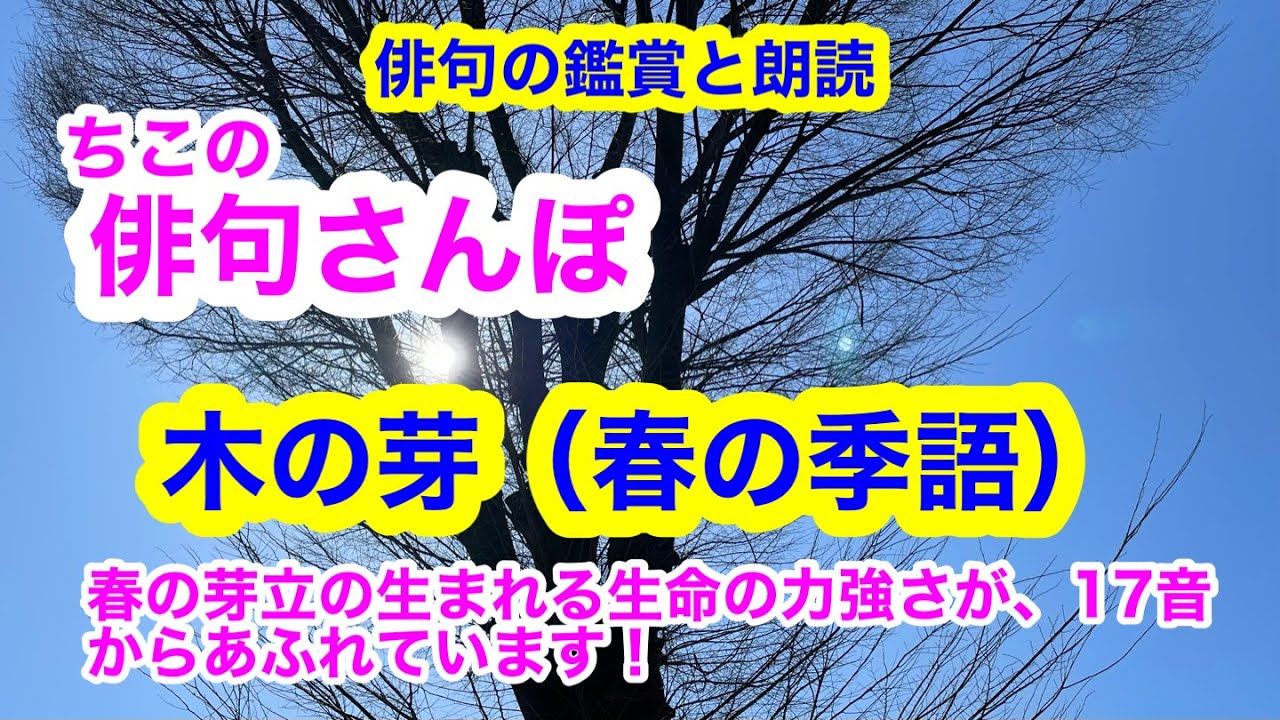 【俳句さんぽ・第112回】木の芽（春）春の目立の生まれる生命の力強さが17音からあふれています🌱