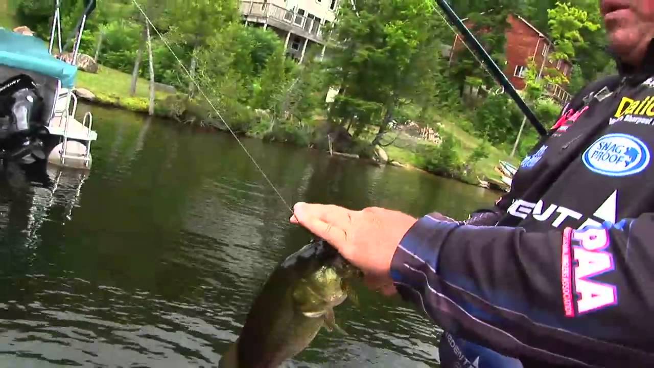 Season 10 - Catching Bass on Sunny Days