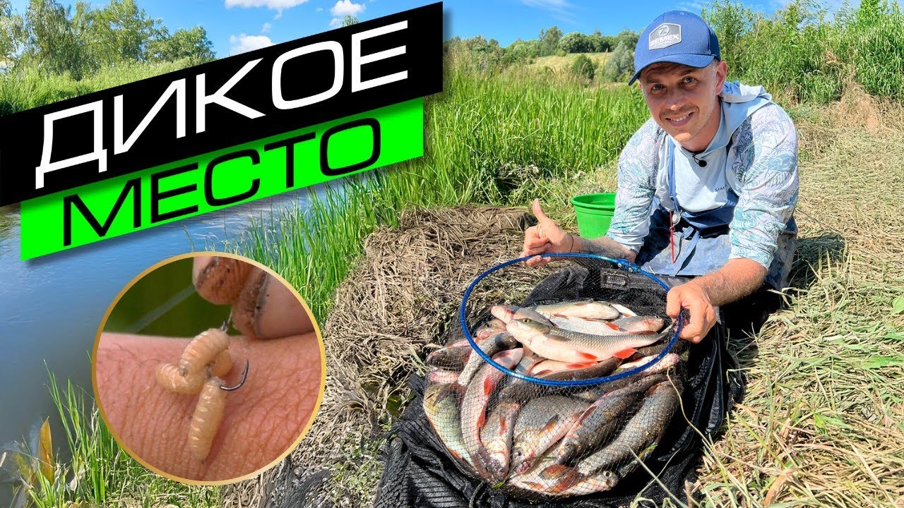 РЫБАЛКА НА РЕКЕ / ФИДЕРНАЯ ЛОВЛЯ / FROS FISHING