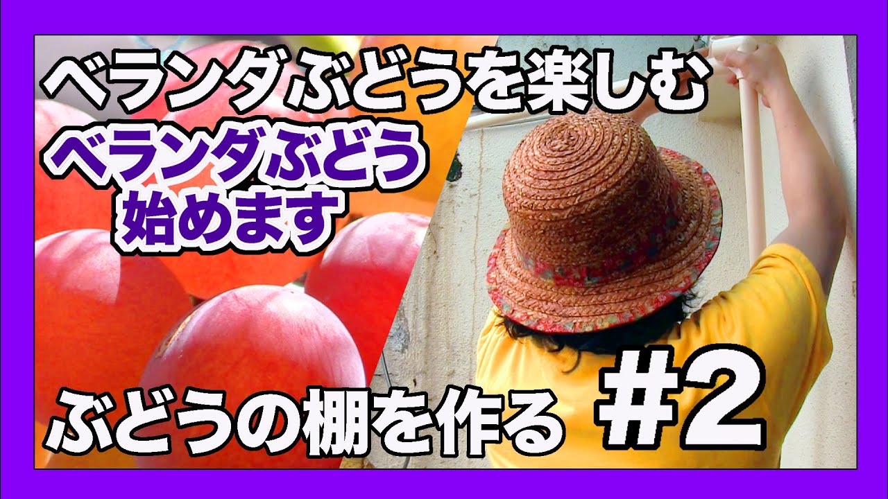 [ベランダ葡萄]DIY いよいよ、ベランダにブドウ棚を作ります #2