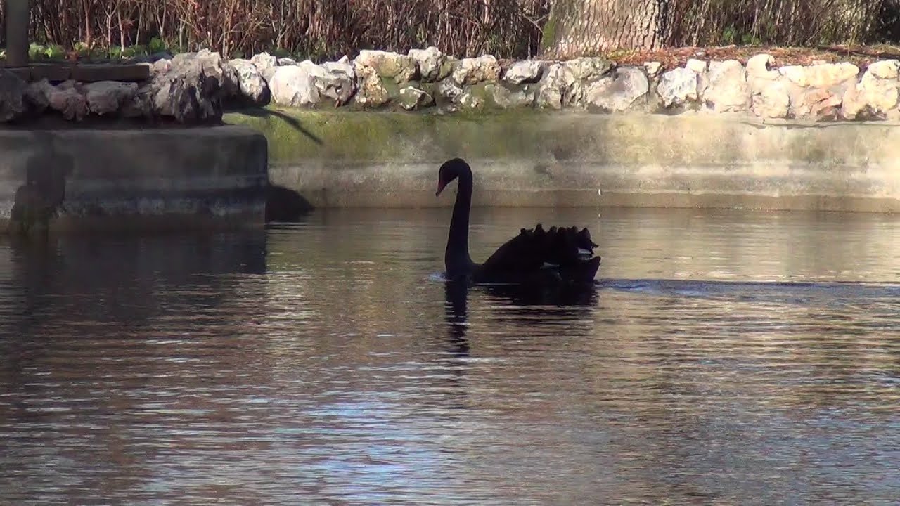 El Capricho de la Duquesa