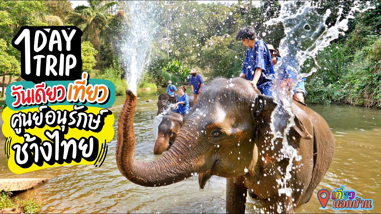 เปิดประสบการณ์ใหม่ !!!! ใกล้ชิดช้างสุดๆ ที่ศูนย์อนุรักษ์ช้างไทย จ.ลำปาง