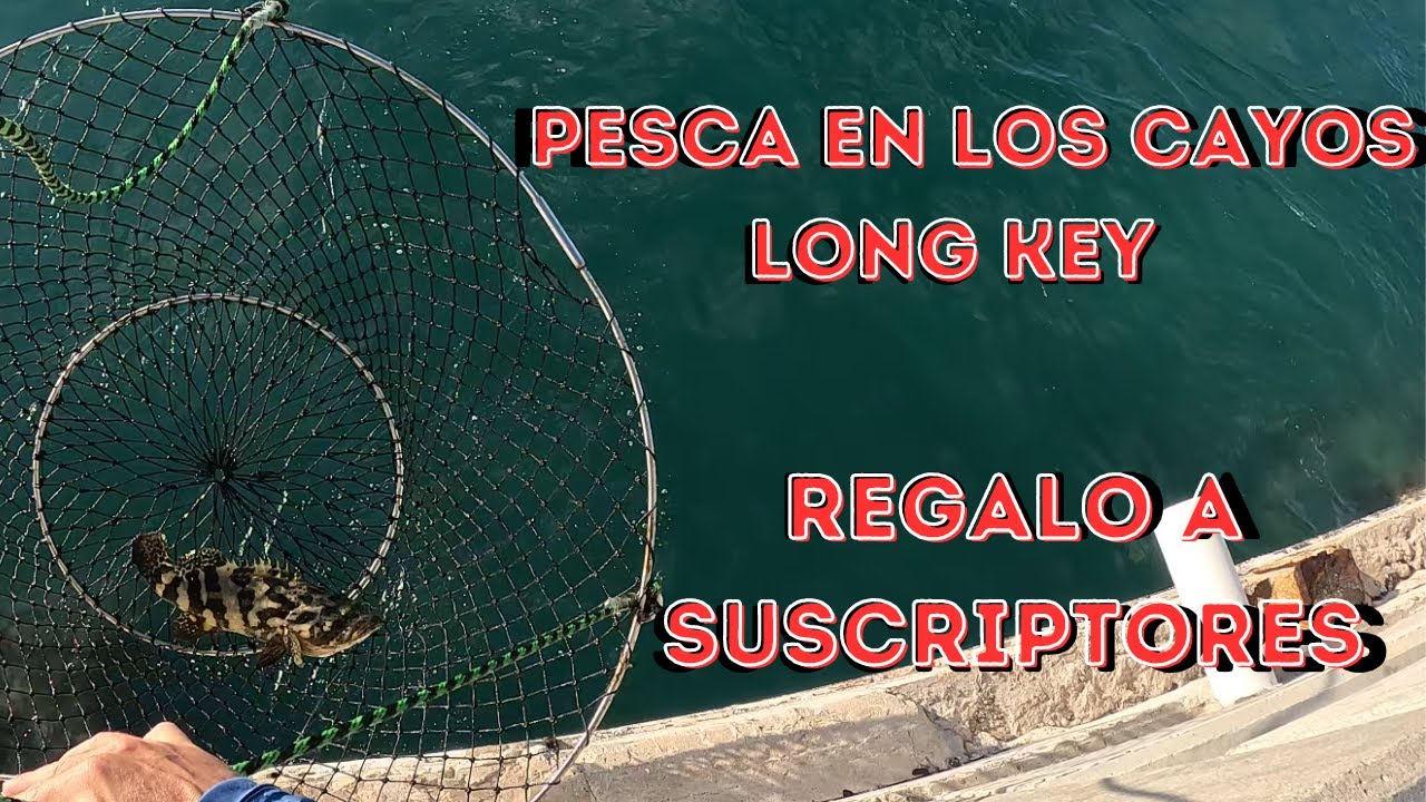 PESCA EN LOS CAYOS DE LA FLORIDA LONG KEY Y UN REGALO PARA SUSCRIPTORES DEL CANAL !