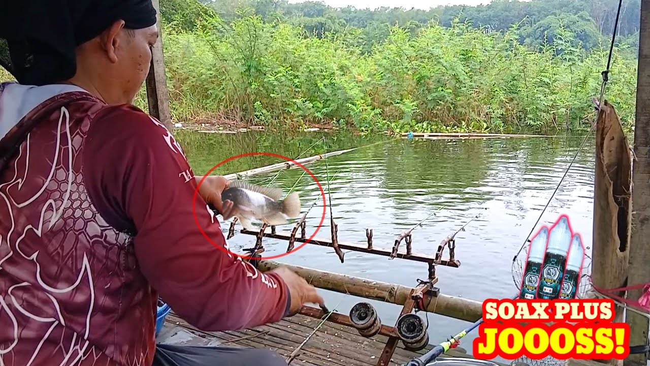 Lapak yang jarang di isi pemancing ini ternyata banyak ikannya! || Soax plus dirakit Ari Sangkali
