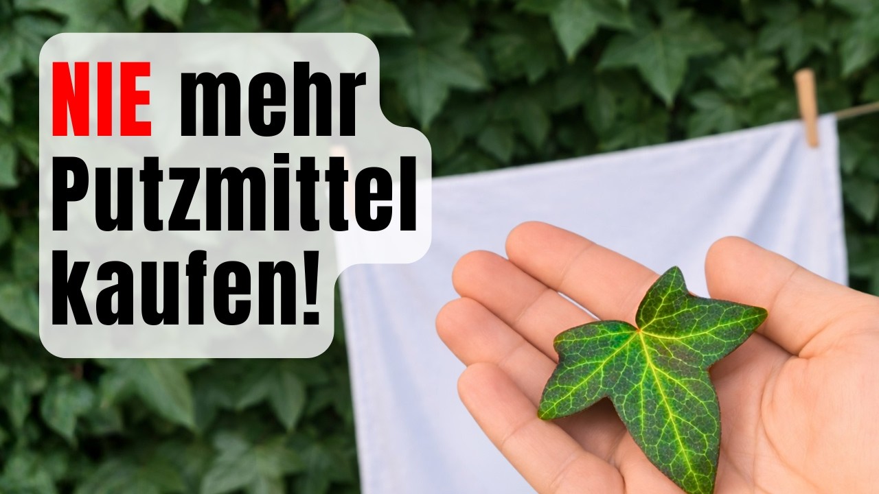 Waschmittel war gestern – diese Pflanze wächst gratis vor deiner Tür