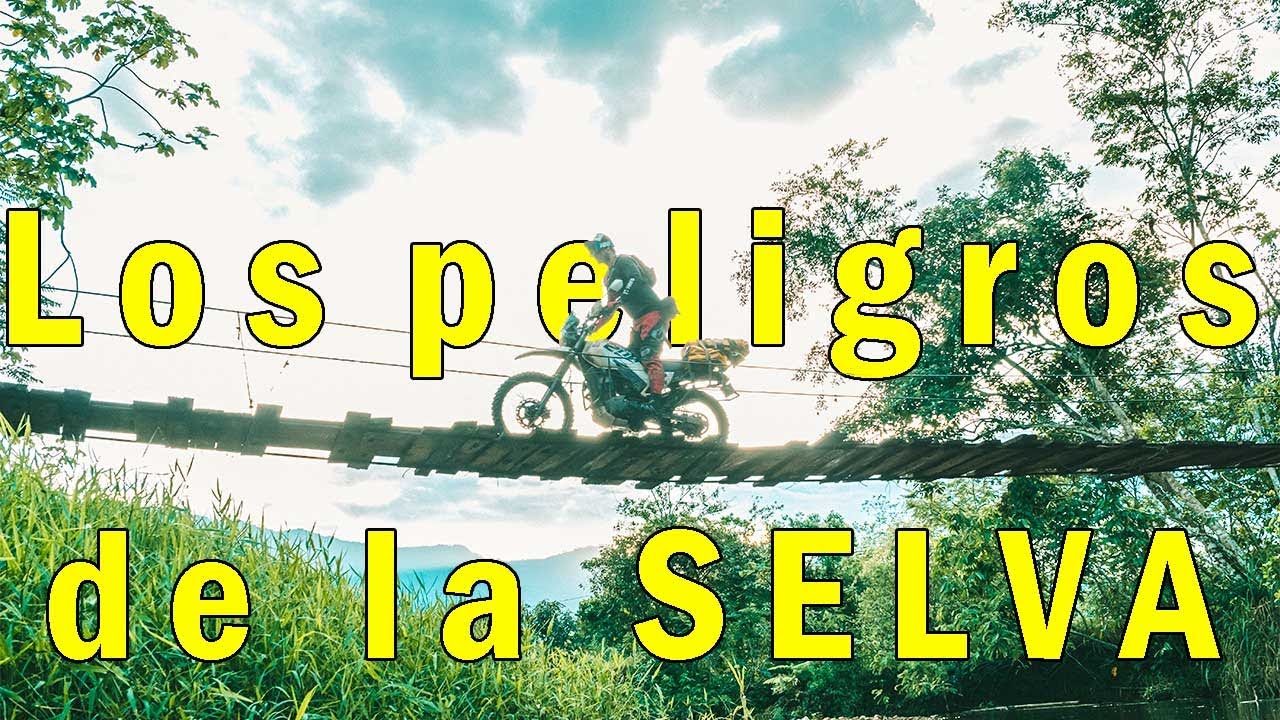 En lo Profundo de la Selva Cruzando un Puente Dañado - Serranía de Macarena Parte 2