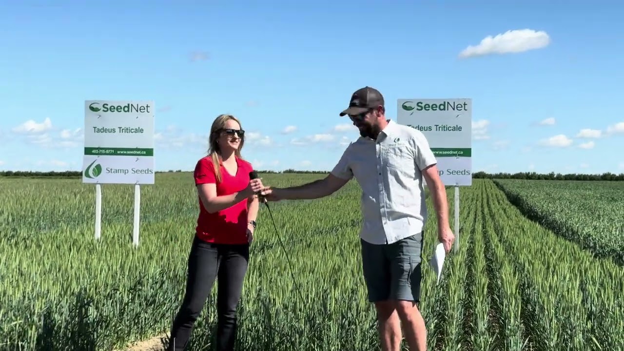 Hybrid rye seed, winter triticale seed, & winter wheat tour