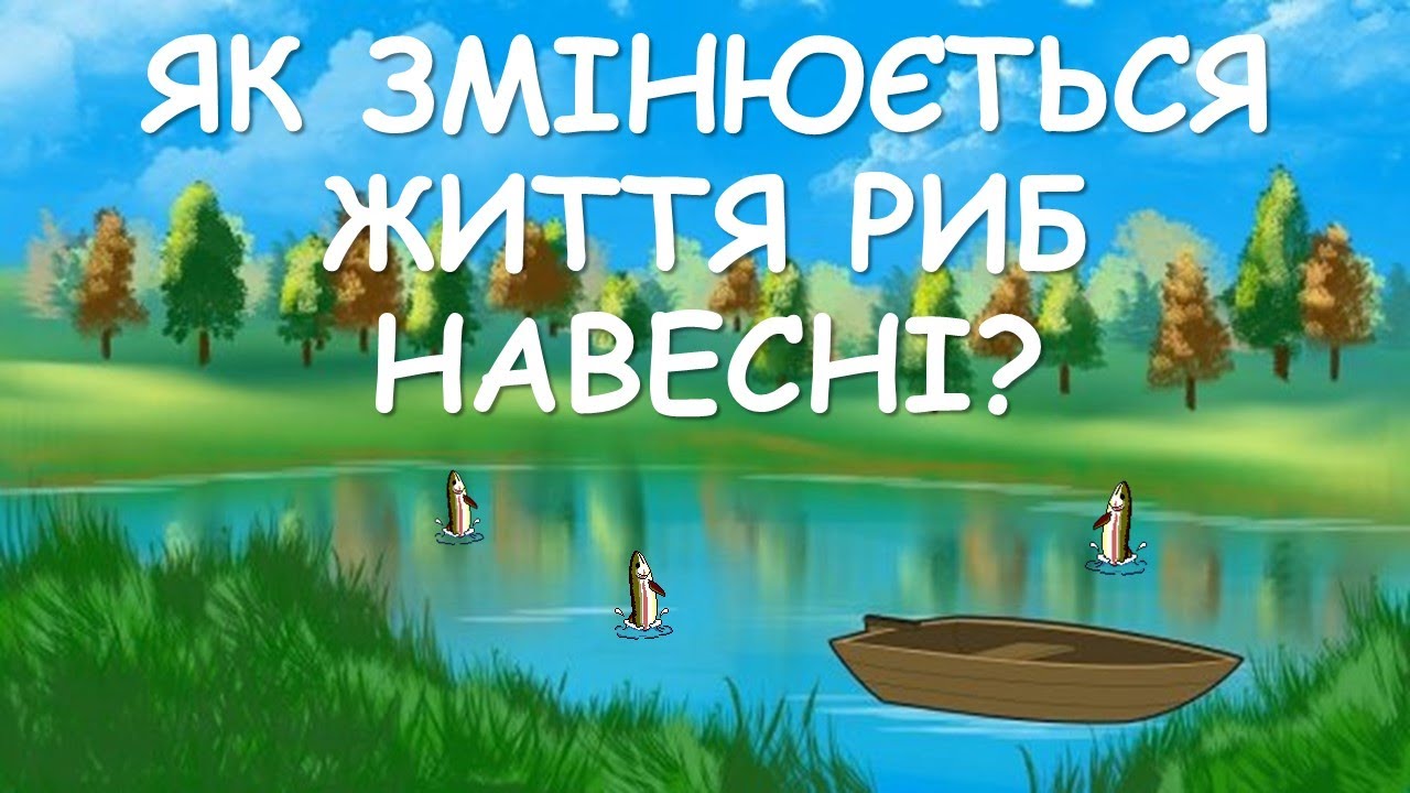 Як змінюється життя риб навесні?