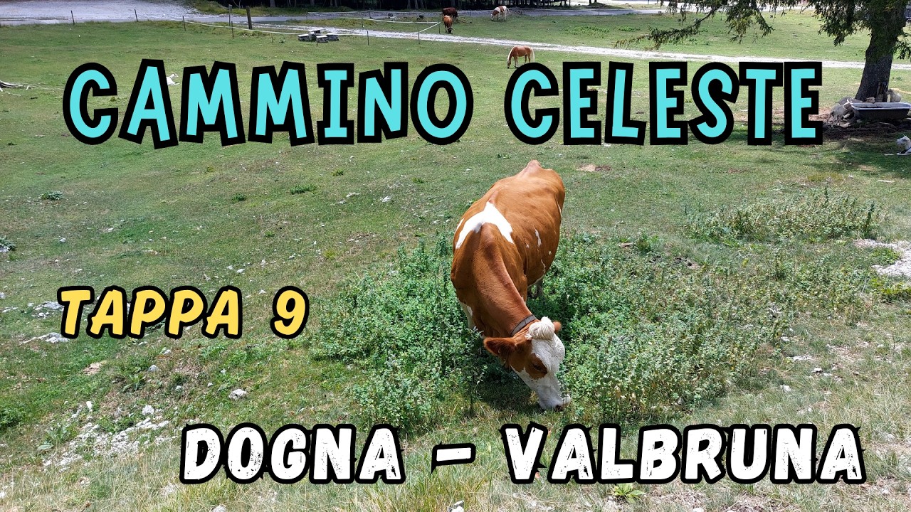 CAMMINO CELESTE 9: Dogna - Valbruna