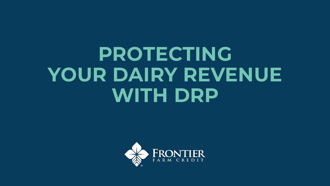 How Dairy Revenue Protection (DRP) Works