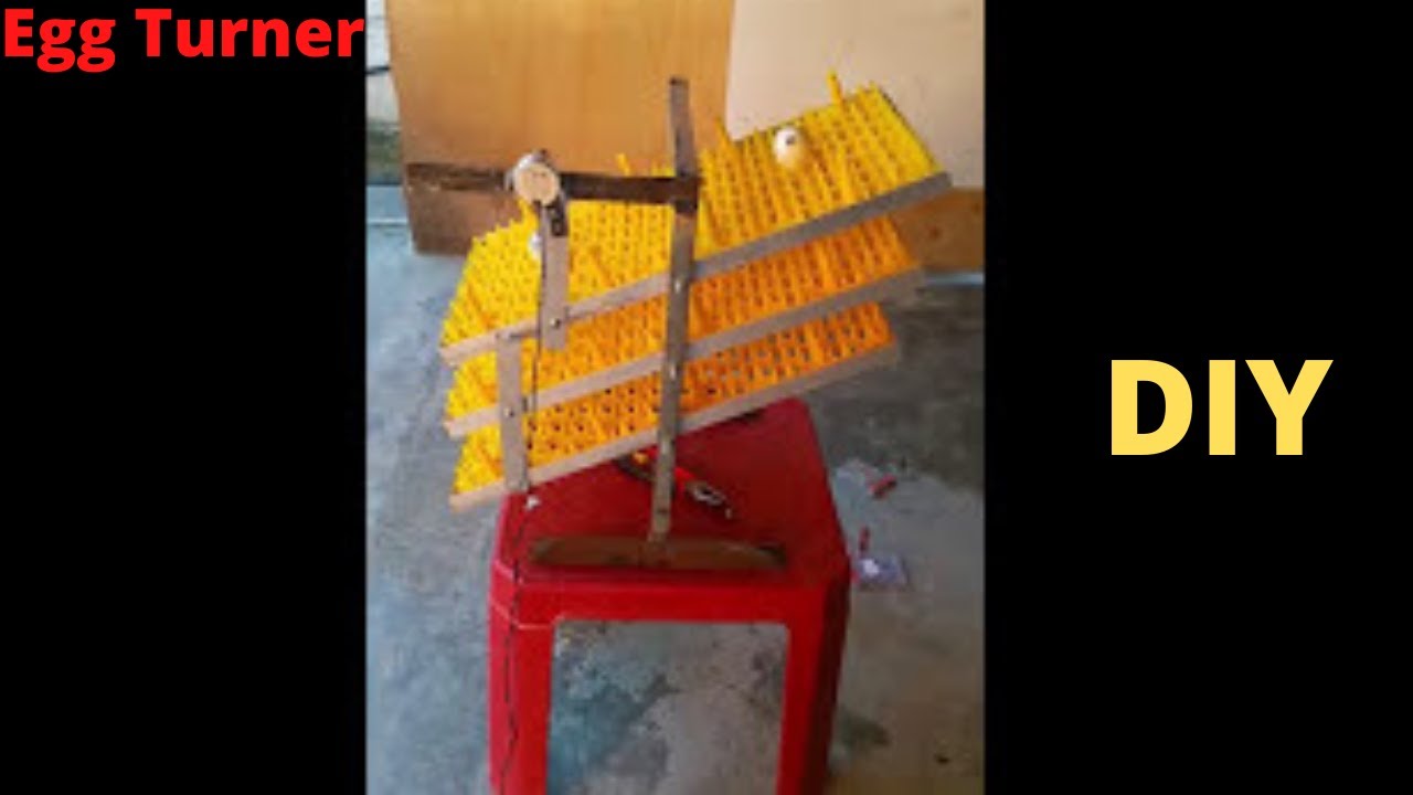 Egg Turner Fatumeta, Dili