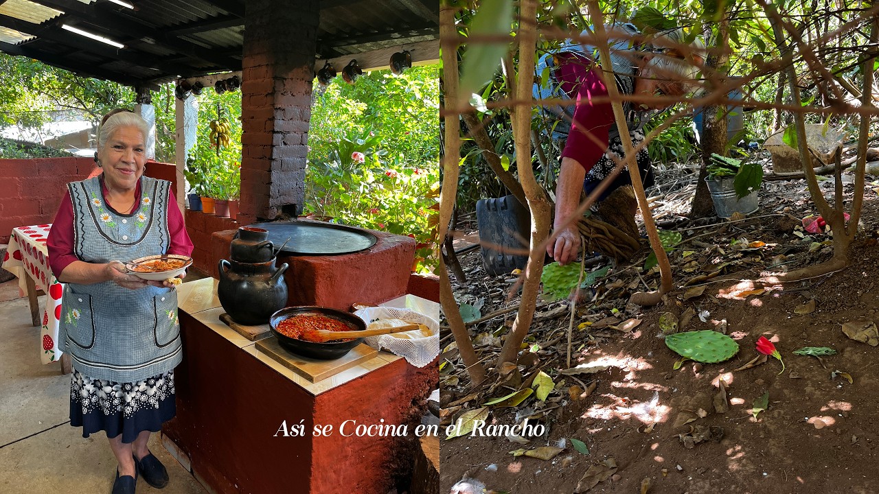 Con Nopales Recién Cortados y un Poco de Carne Molida le Hice de Comer a Mi Familia