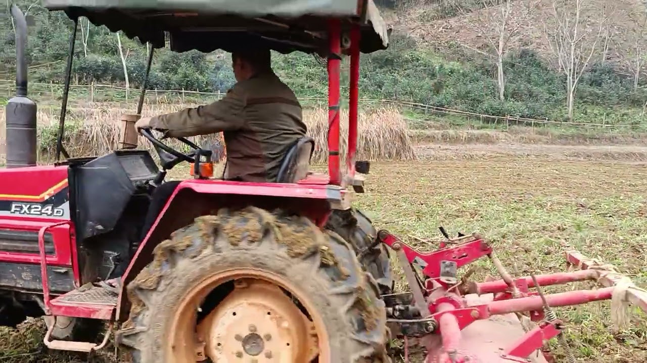 Công việc cày bừa người đồng bào dao 