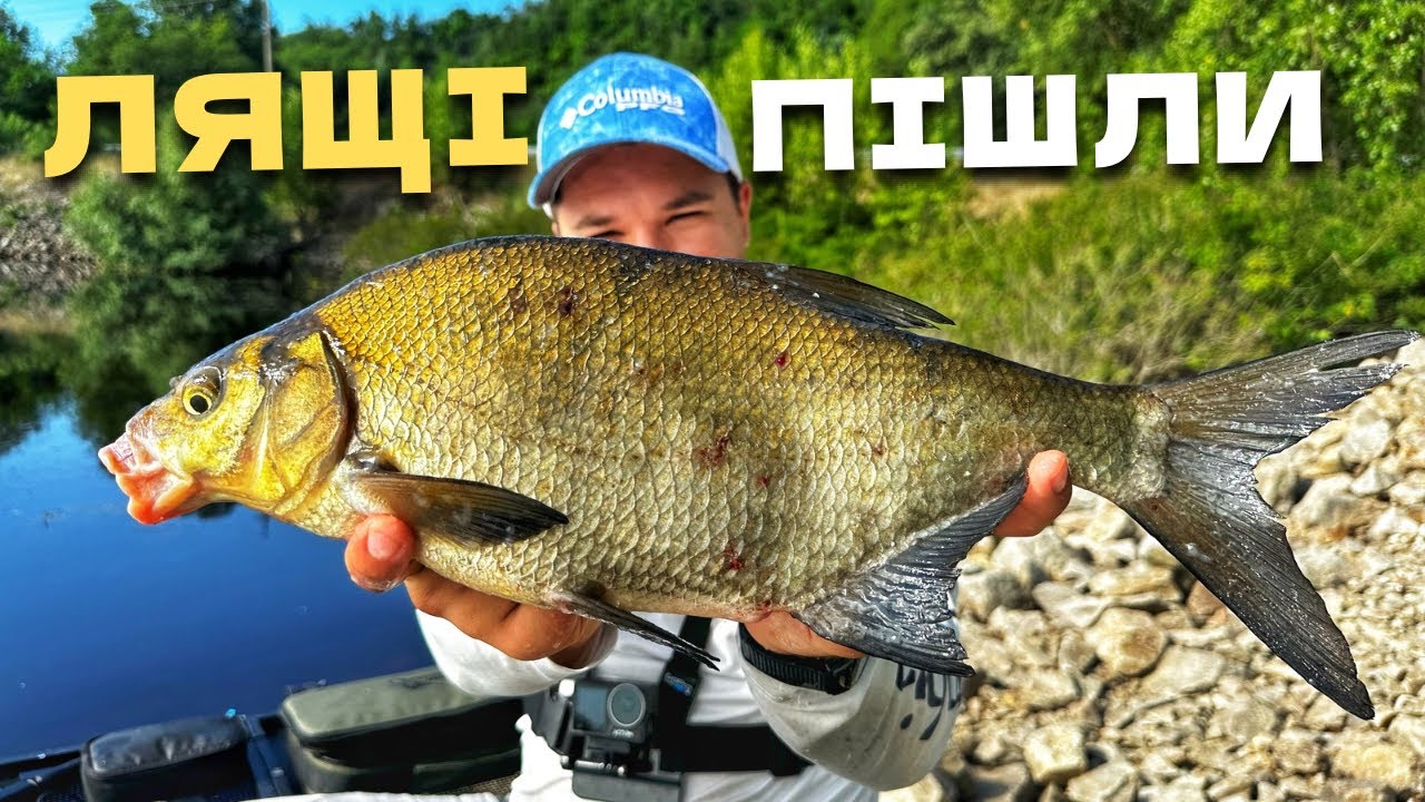 МОНСТРИ РВУТЬ ПОВІДКИ! ЛЯЩІ ВЖЕ КЛЮЮТЬ!