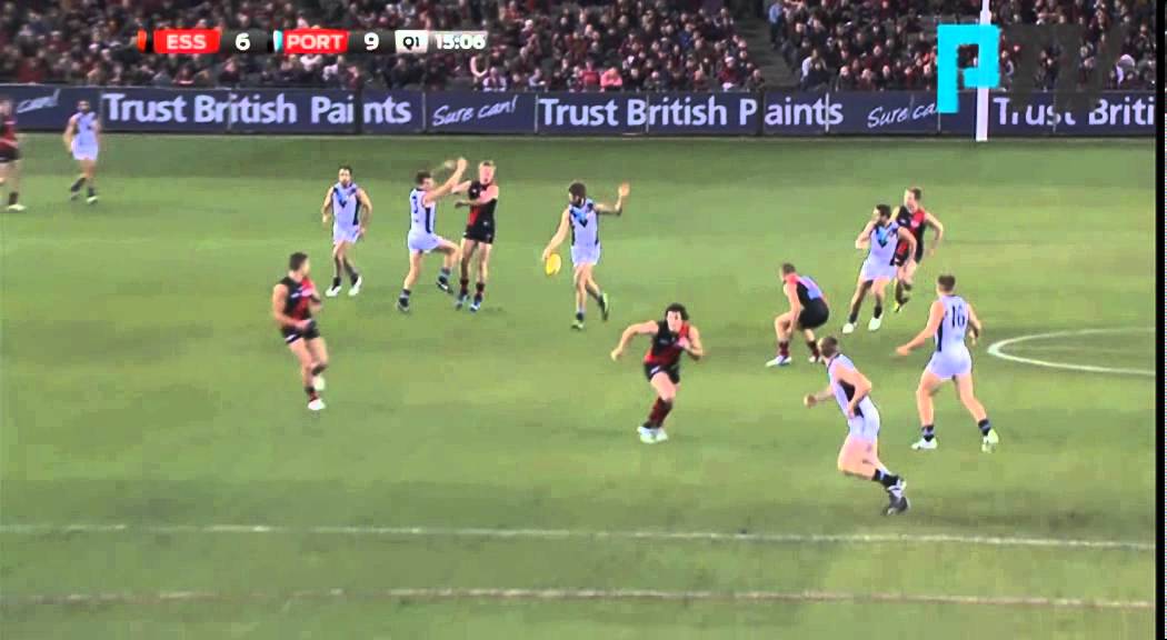 PTV: Jackson Trengove brilliant goal v Bombers R15, 2013