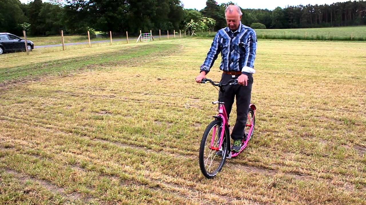 Uwe-Radant.com: Einsteiger Dogscooter City