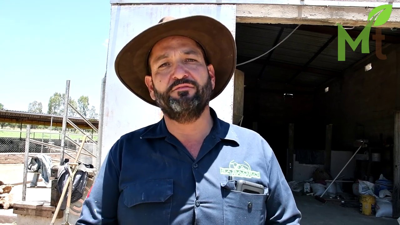Multiplica la proteína con fermentado de nopal