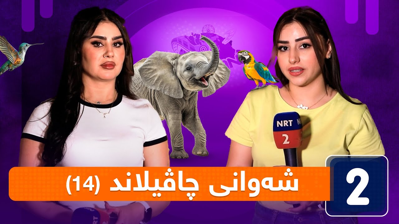 شەوانی چاڤیلاند - ئەڵقەی (14)