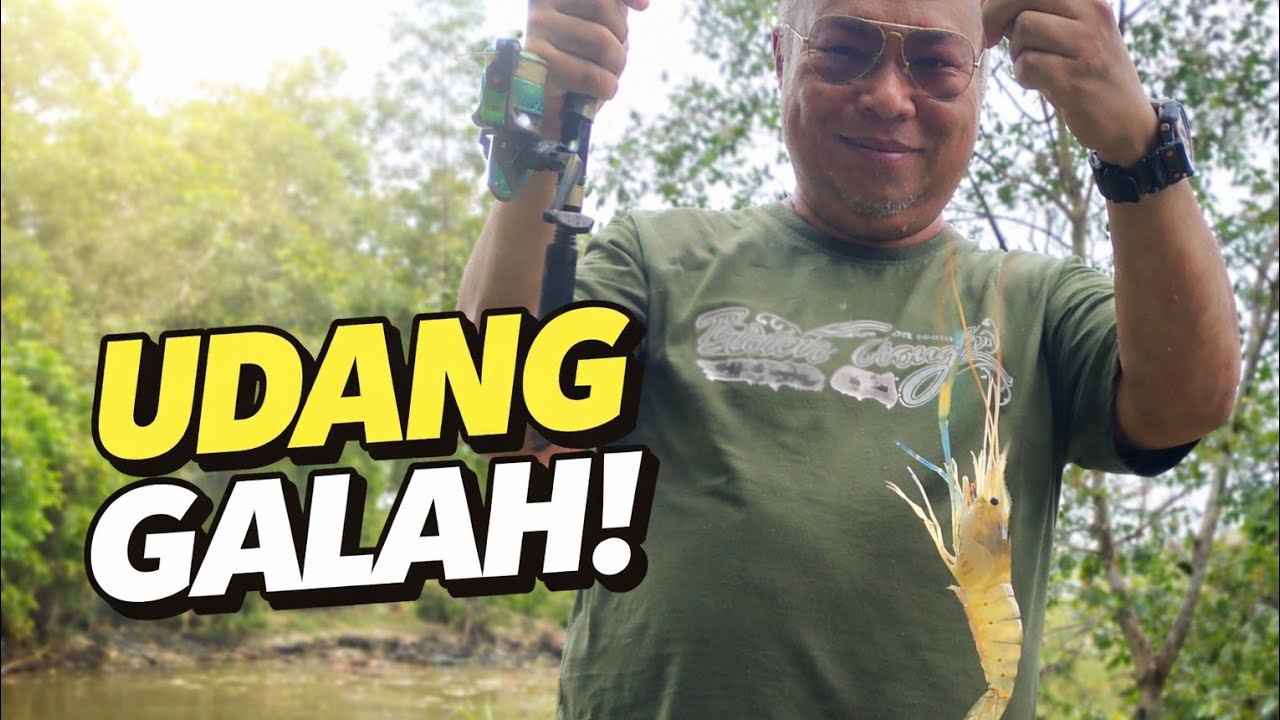 Mancing Udang Galah Tepi Sungai | Rezeki Hari Ini