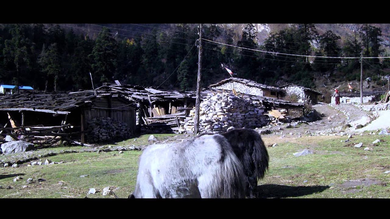 pharadendi sherpa... milungma la laaka kheyni........(By umanga lama)