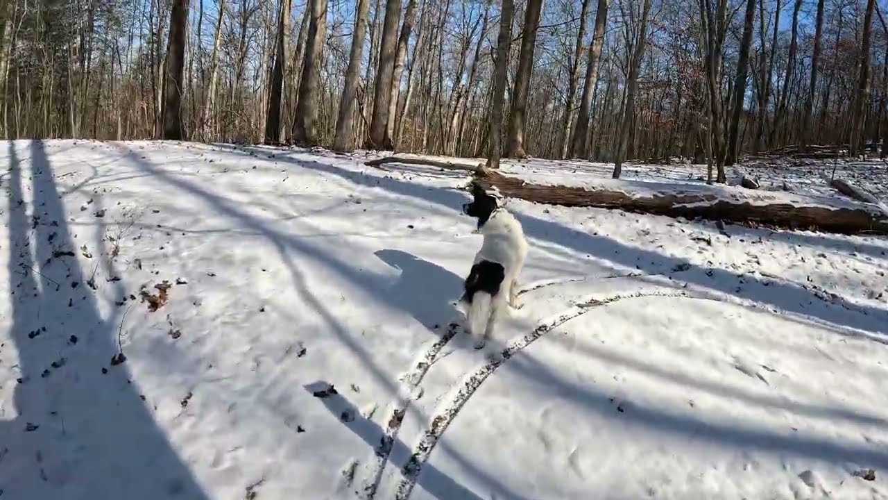 Haw Ridge Park in the Snow