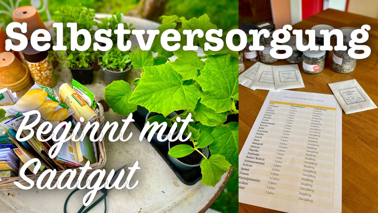 #56 Eigenes Saatgut herstellen🌽🍅 Nachhaltig und einfach