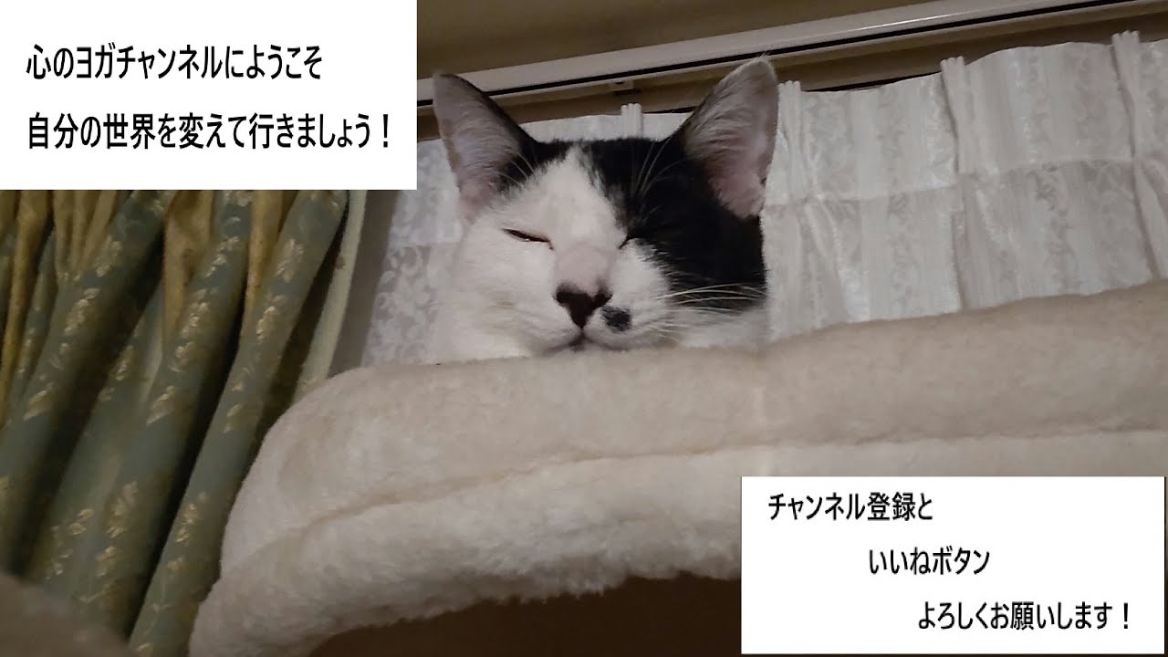「丹田から脳へ！」　エネルギー循環エクササイズ 1　  心のヨガチャンネル 「心のヨガチャンネルにようこそ！自分の世界を変えていきましょう！」通17