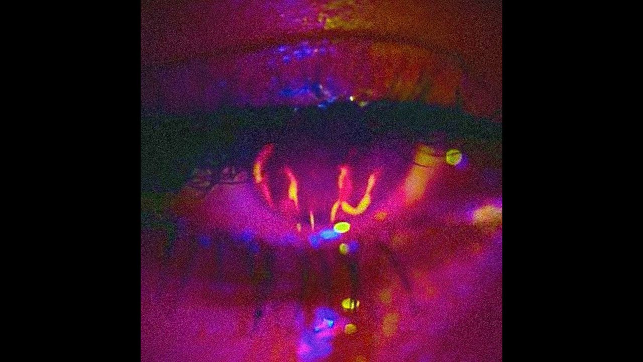 [free] lucki x ambient type beat 