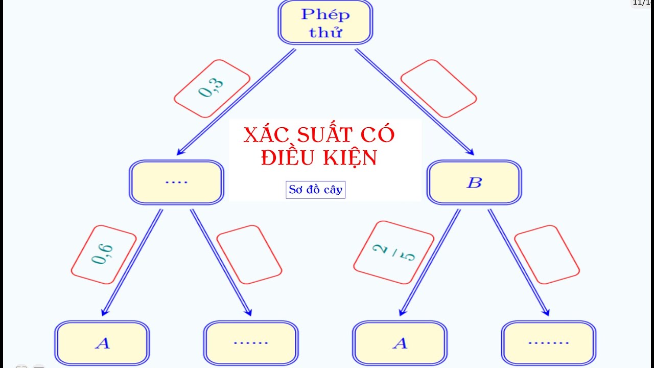 Toán 12 mới| Tính xác suất có điều kiện bằng sơ đồ hình cây