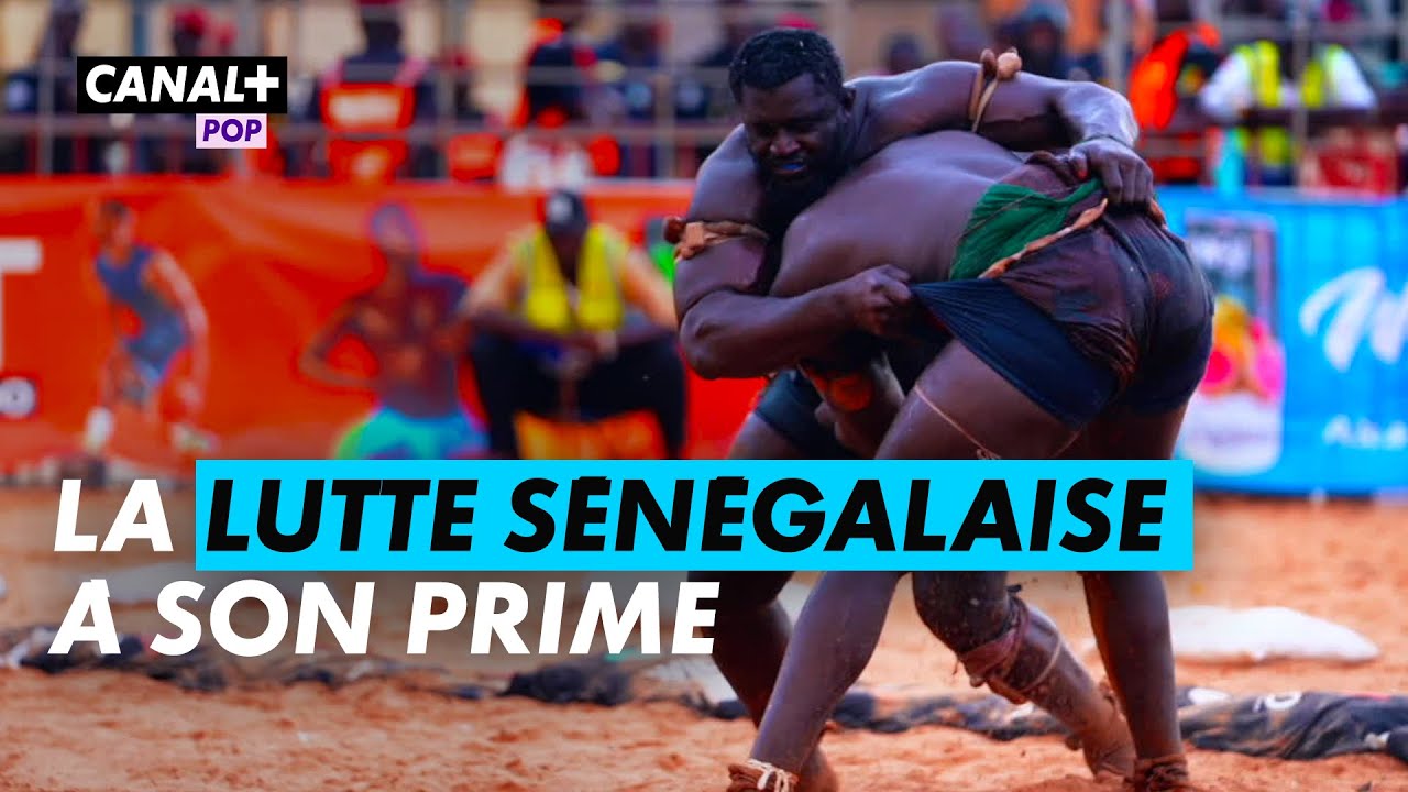 ENQUÊTE D'AFRIQUE : Le renouveau de la lutte sénégalaise (19/08/2025)