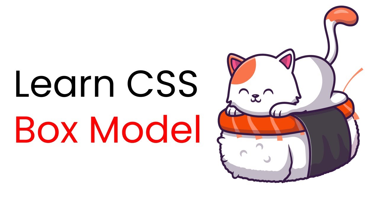 Learn CSS Box model with Examples ✨ || CSS 2021
