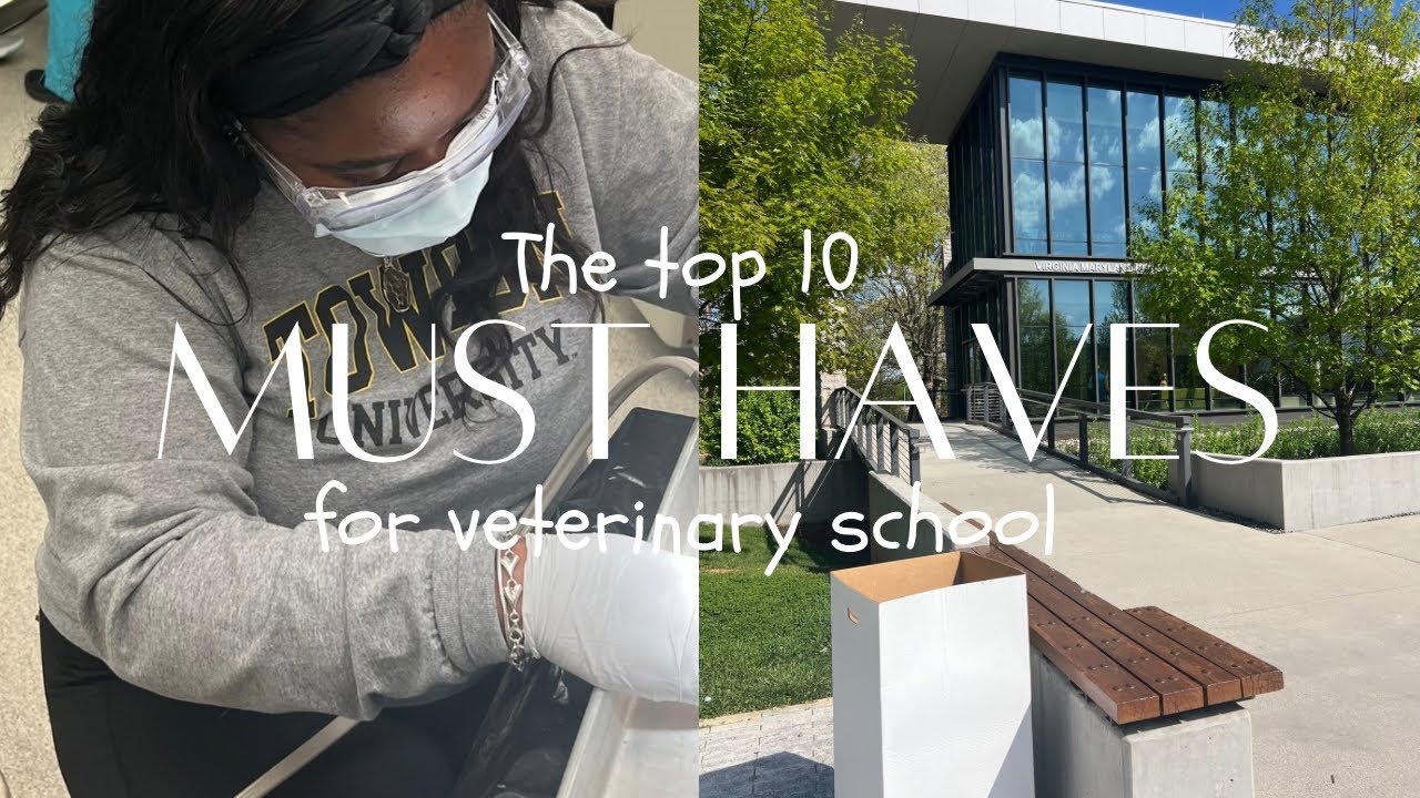 Top 10 Essentials for Veterinary school: What You Need to Succeed