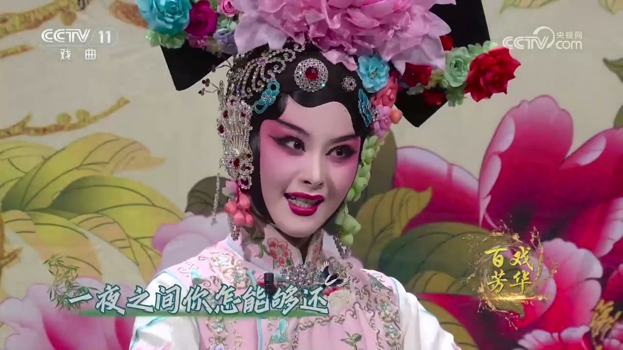 《角儿来了》 20251224 百戏芳华 | 中华戏韵