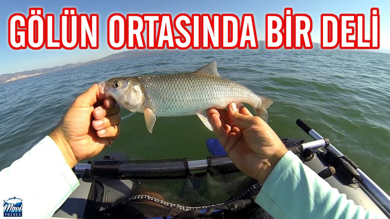 GÖLÜN ORTASINDA BİR DELİ - Belly Boat İle Balık Avı
