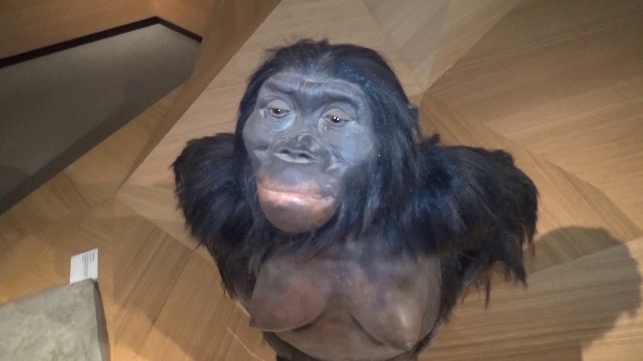 Neanderthal Museum (Mettmann)